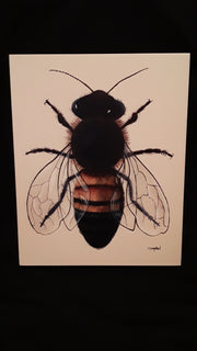 Box Print- Honey Bee 11x14